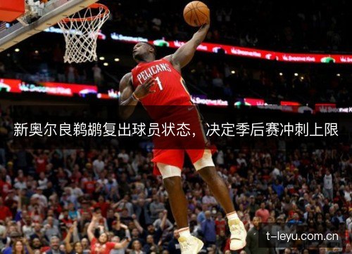 新奥尔良鹈鹕复出球员状态，决定季后赛冲刺上限