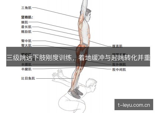 三级跳远下肢刚度训练,着地缓冲与起跳转化并重 三级跳远下肢刚度训练,着地缓冲与起跳转化并重